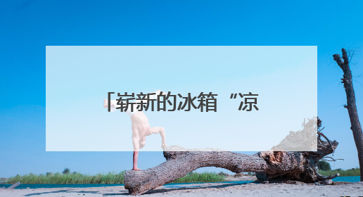 崭新的冰箱“凉快”了大伙的心，“家电圆梦”让残疾人开心度夏