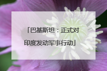 巴基斯坦：正式对印度发动军事行动
