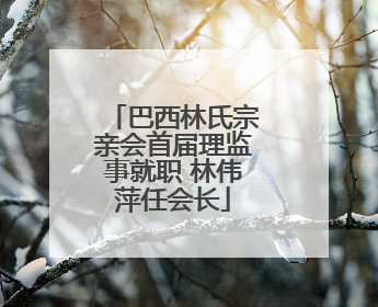 巴西林氏宗亲会首届理监事就职 林伟萍任会长