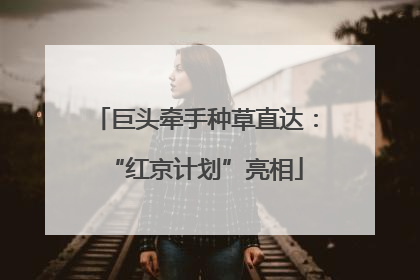 巨头牵手种草直达：“红京计划”亮相