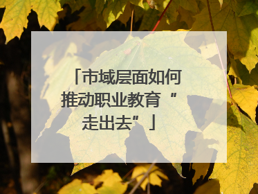 市域层面如何推动职业教育“走出去”