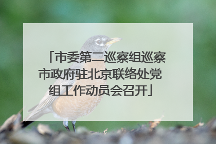 市委第二巡察组巡察市政府驻北京联络处党组工作动员会召开
