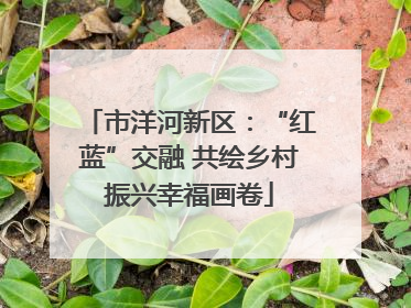 市洋河新区：“红蓝”交融 共绘乡村振兴幸福画卷
