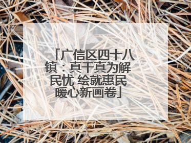 广信区四十八镇：真干真为解民忧 绘就惠民暖心新画卷