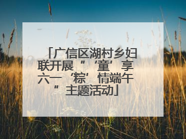 广信区湖村乡妇联开展“‘童’享六一‘粽’情端午”主题活动