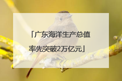 广东海洋生产总值率先突破2万亿元