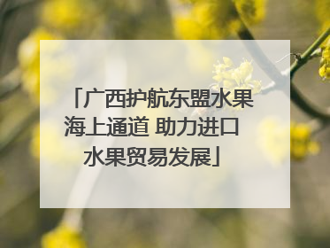 广西护航东盟水果海上通道 助力进口水果贸易发展