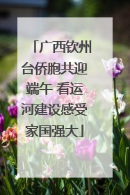 广西钦州台侨胞共迎端午 看运河建设感受家国强大