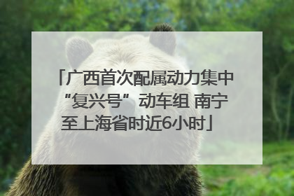 广西首次配属动力集中“复兴号”动车组 南宁至上海省时近6小时