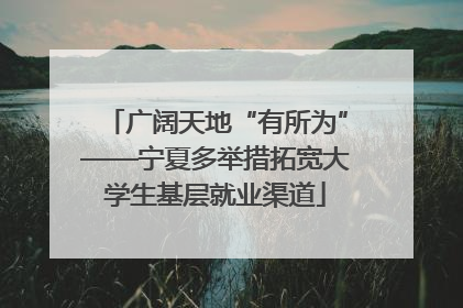 广阔天地“有所为”——宁夏多举措拓宽大学生基层就业渠道