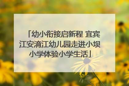 幼小衔接启新程 宜宾江安淯江幼儿园走进小坝小学体验小学生活