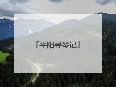 平阳寻琴记