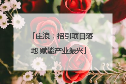 庄浪：招引项目落地 赋能产业振兴