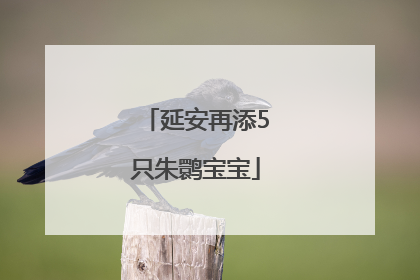 延安再添5只朱鹮宝宝