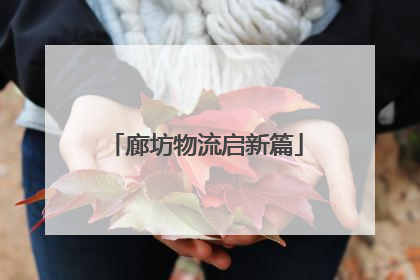 廊坊物流启新篇