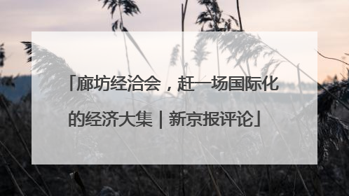 廊坊经洽会，赶一场国际化的经济大集｜新京报评论