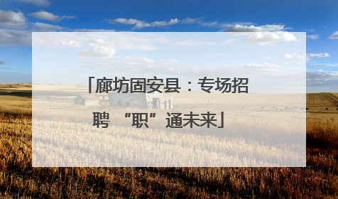 廊坊固安县：专场招聘 “职”通未来