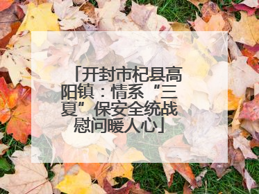 开封市杞县高阳镇：情系“三夏”保安全统战慰问暖人心