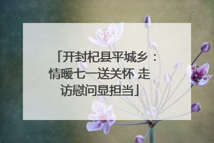 开封杞县平城乡：情暖七一送关怀 走访慰问显担当