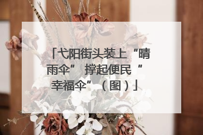 弋阳街头装上“晴雨伞” 撑起便民“幸福伞”（图）