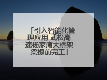 引入智能化管理应用 武松高速杨家湾大桥架梁提前完工