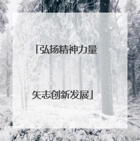 弘扬精神力量 矢志创新发展