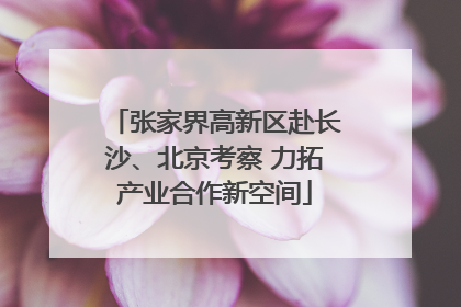 张家界高新区赴长沙、北京考察 力拓产业合作新空间