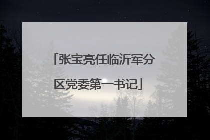 张宝亮任临沂军分区党委第一书记