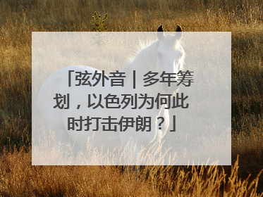 弦外音｜多年筹划，以色列为何此时打击伊朗？