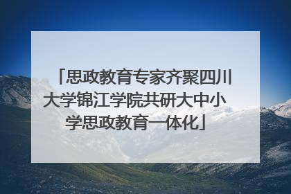 思政教育专家齐聚四川大学锦江学院共研大中小学思政教育一体化