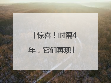 惊喜！时隔4年，它们再现