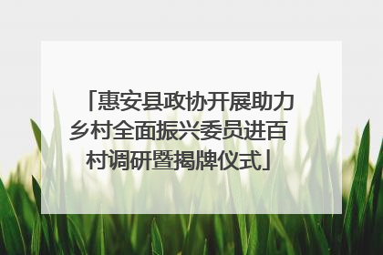 惠安县政协开展助力乡村全面振兴委员进百村调研暨揭牌仪式