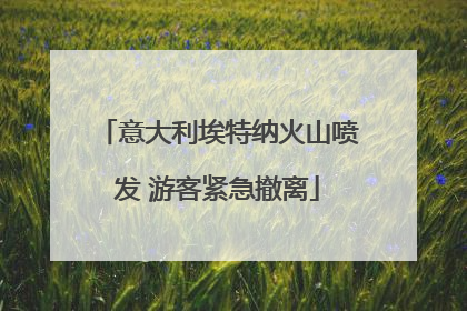 意大利埃特纳火山喷发 游客紧急撤离