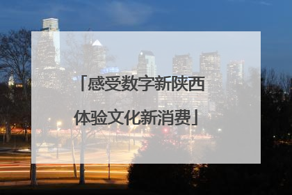 感受数字新陕西 体验文化新消费