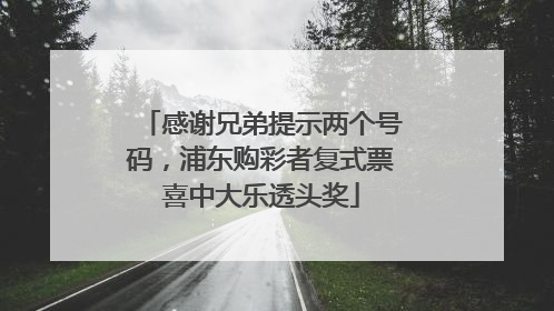 感谢兄弟提示两个号码，浦东购彩者复式票喜中大乐透头奖