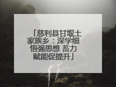 慈利县甘堰土家族乡：深学细悟强思想 蓄力赋能促提升