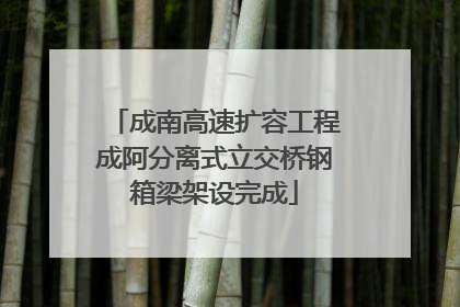 成南高速扩容工程成阿分离式立交桥钢箱梁架设完成