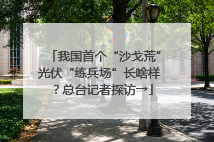 我国首个“沙戈荒”光伏“练兵场”长啥样？总台记者探访→
