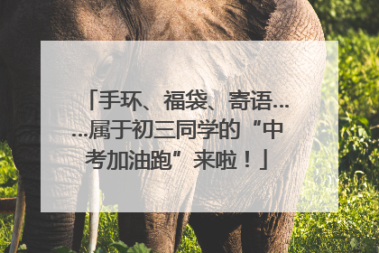 手环、福袋、寄语……属于初三同学的“中考加油跑”来啦！