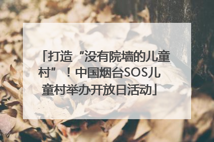 打造“没有院墙的儿童村”！中国烟台SOS儿童村举办开放日活动
