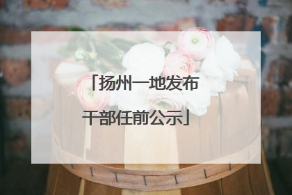 扬州一地发布干部任前公示