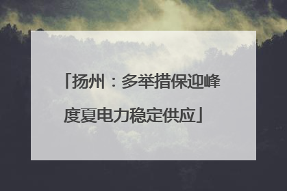 扬州：多举措保迎峰度夏电力稳定供应