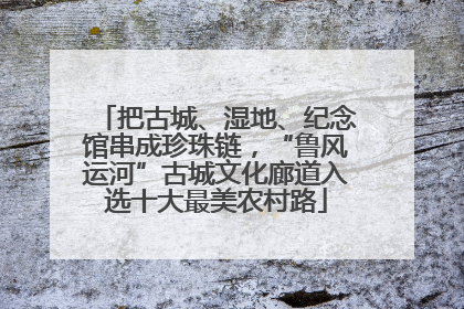 把古城、湿地、纪念馆串成珍珠链，“鲁风运河”古城文化廊道入选十大最美农村路