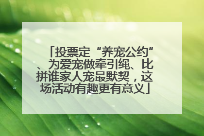 投票定“养宠公约”、为爱宠做牵引绳、比拼谁家人宠最默契，这场活动有趣更有意义