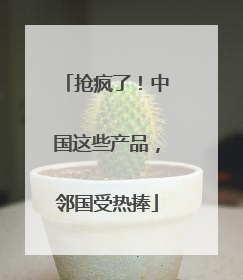 抢疯了！中国这些产品，邻国受热捧