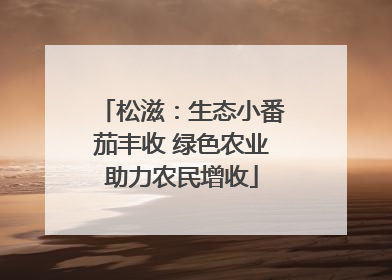 松滋：生态小番茄丰收 绿色农业助力农民增收