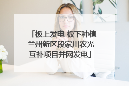 板上发电 板下种植 兰州新区段家川农光互补项目并网发电