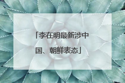李在明最新涉中国、朝鲜表态