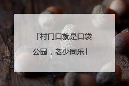 村门口就是口袋公园，老少同乐