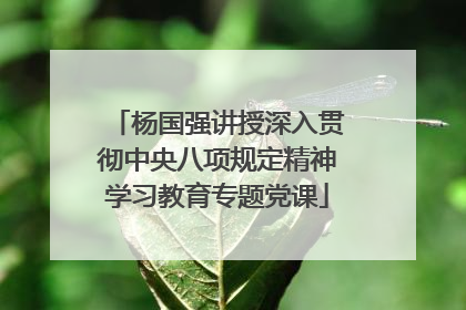 杨国强讲授深入贯彻中央八项规定精神学习教育专题党课